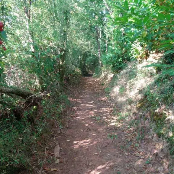 Collonges chaise du diable 2 - VTT