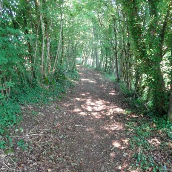 Curemonte - GRPMC 1 - VTT