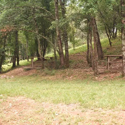 DSCF1164