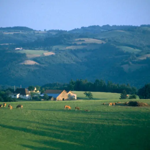 Panorama sur le Haut Ségala