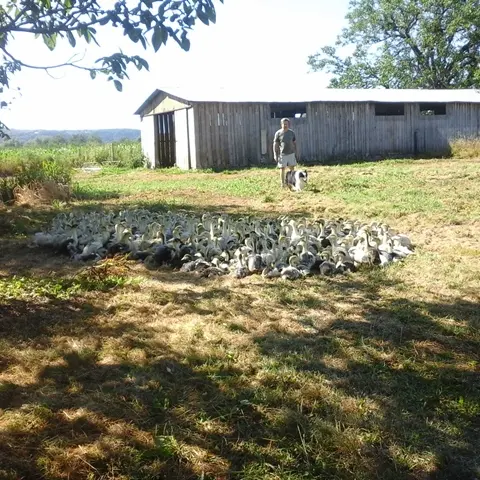 Ferme des Boutières - Creysse 1 OK