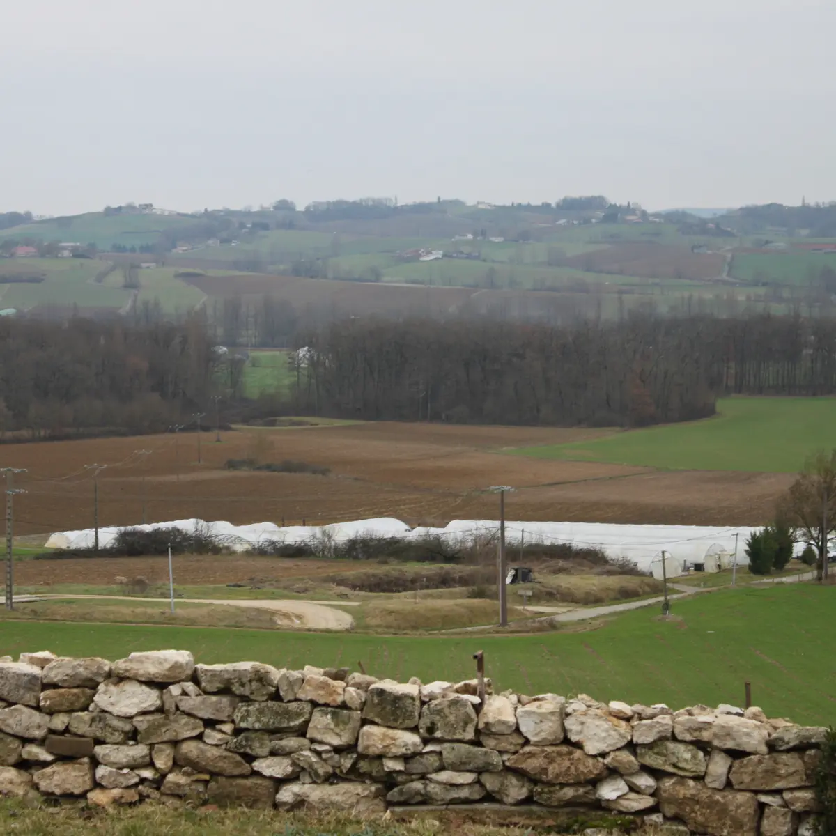 Gaec Latreille extérieur