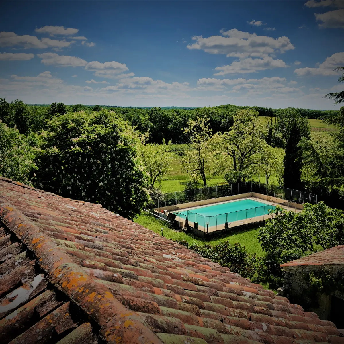 Piscine et jardin immense