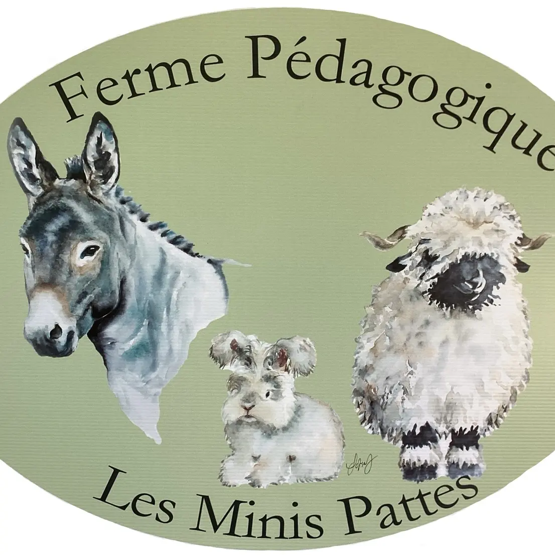 Les Minis Pattes