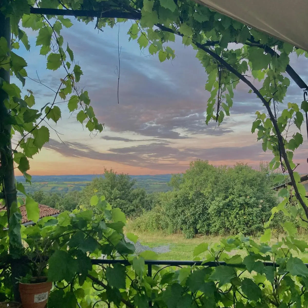 vue de la terrasse