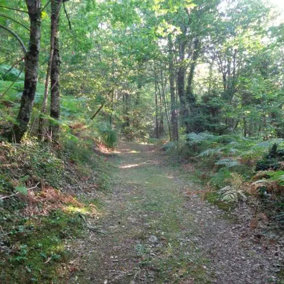 Lostanges - Balcon pays de brive 3 - VTT