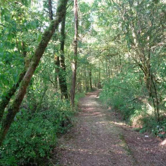 Lostanges - GRPMC 3 - VTT