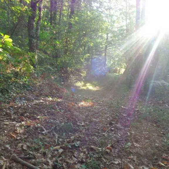 Lostanges - Monts et vallées 2 - VTT
