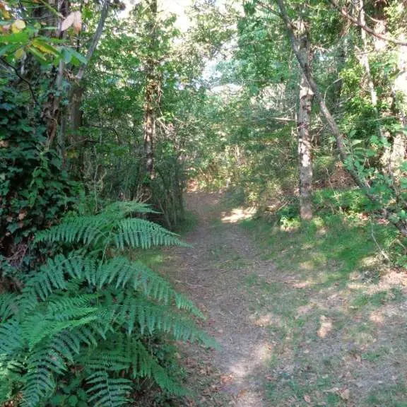 Lostanges - Monts et vallées 3 - VTT