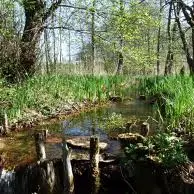 Marais de Bonnefont
