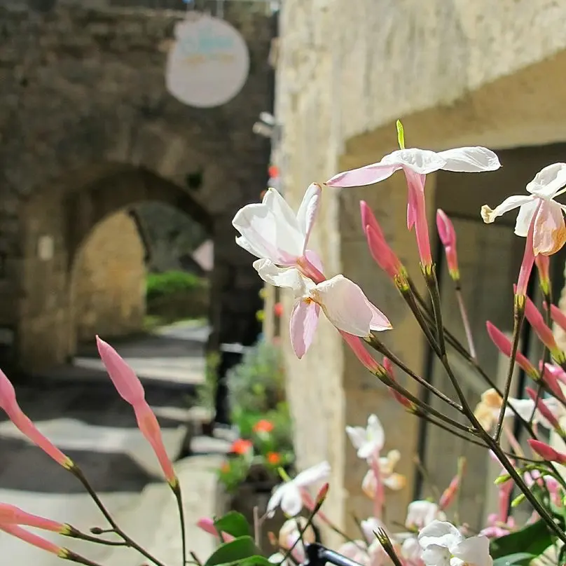 Merci Mille Fois Rocamadour 1