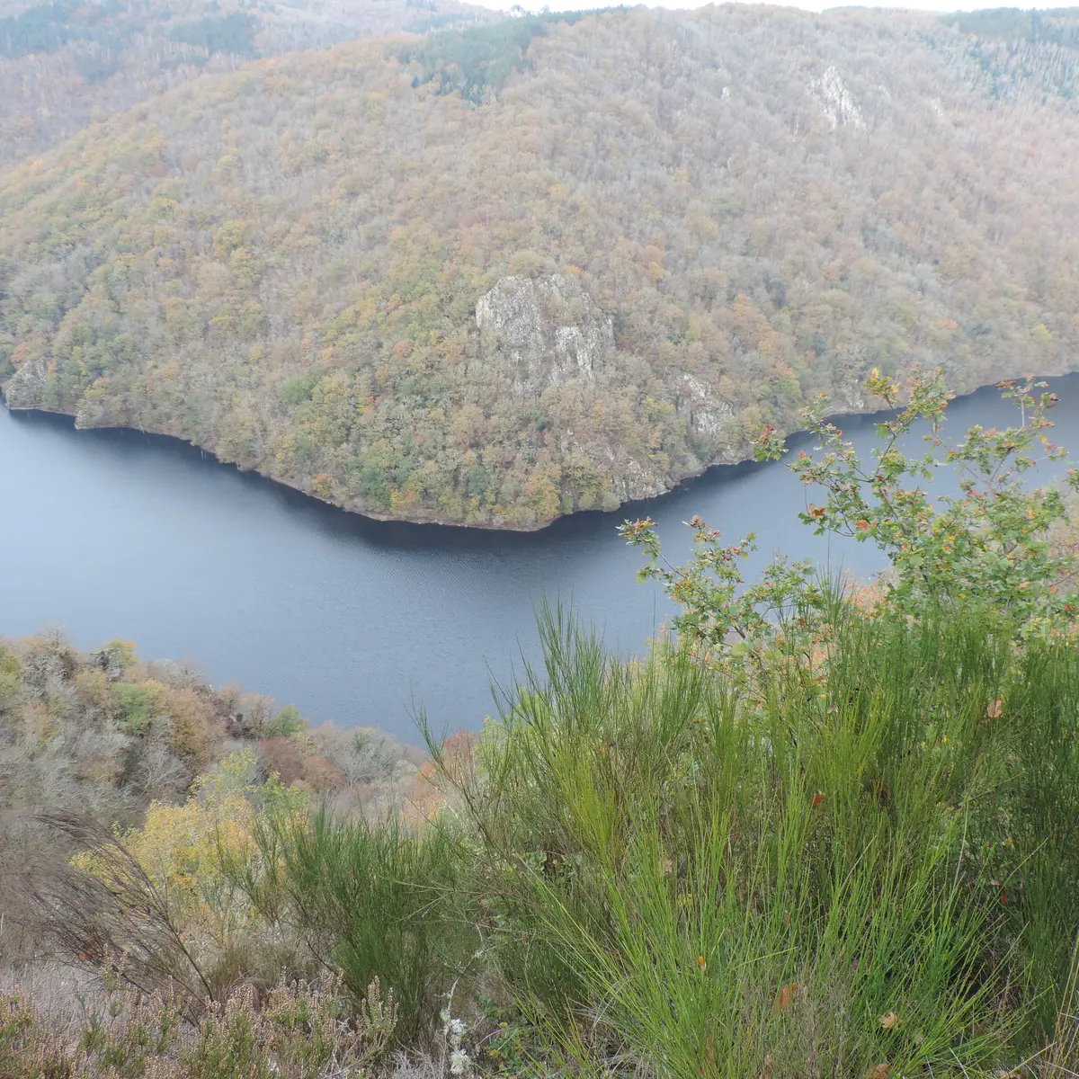 Mystique Dordogne