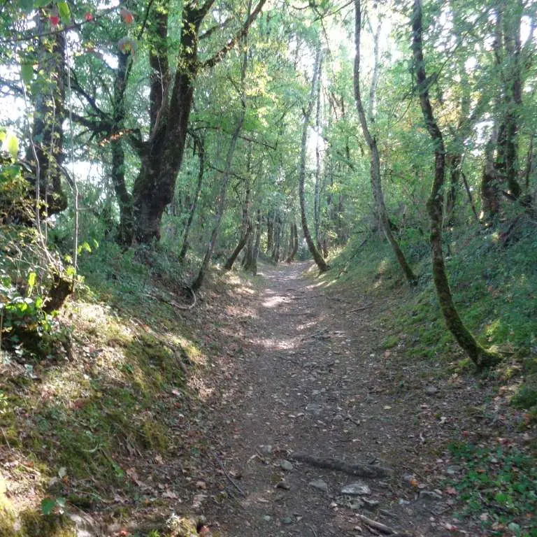 Noailhac - GRPMC 1 - VTT