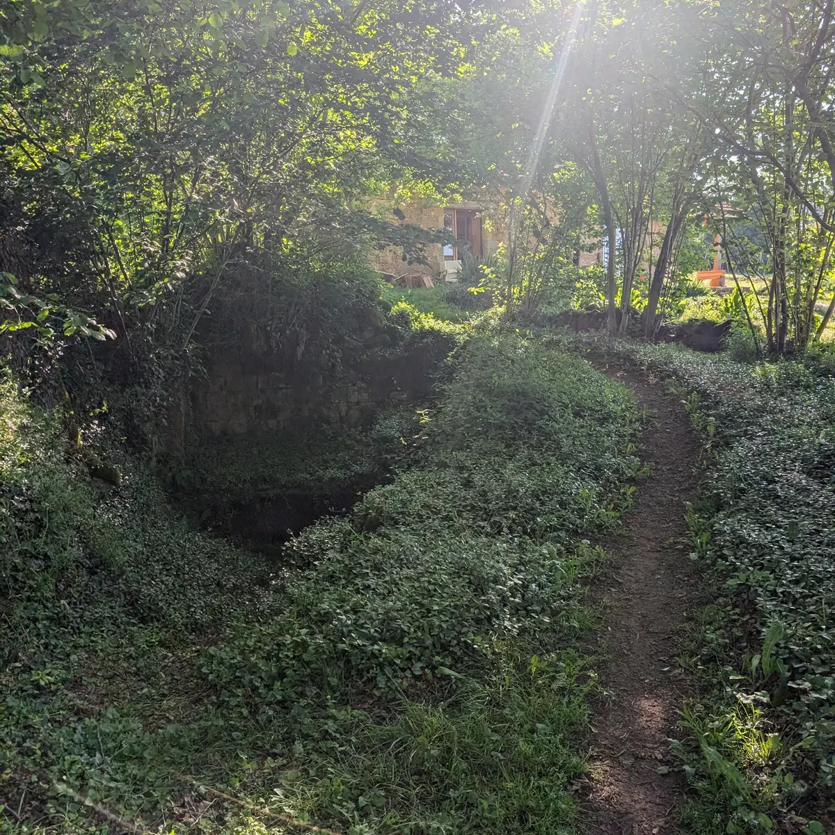 Chemin vers l'atelier