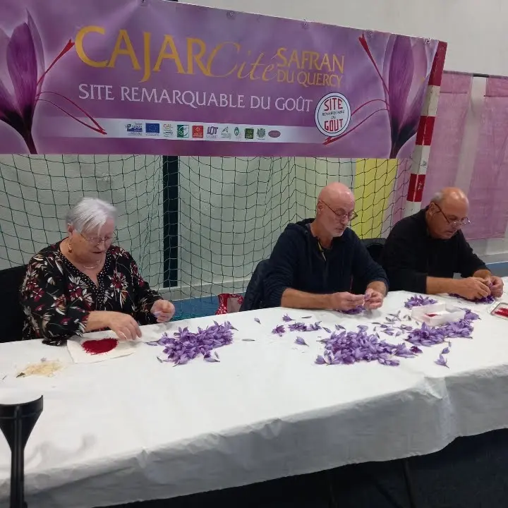 Période de récolte l'émondage