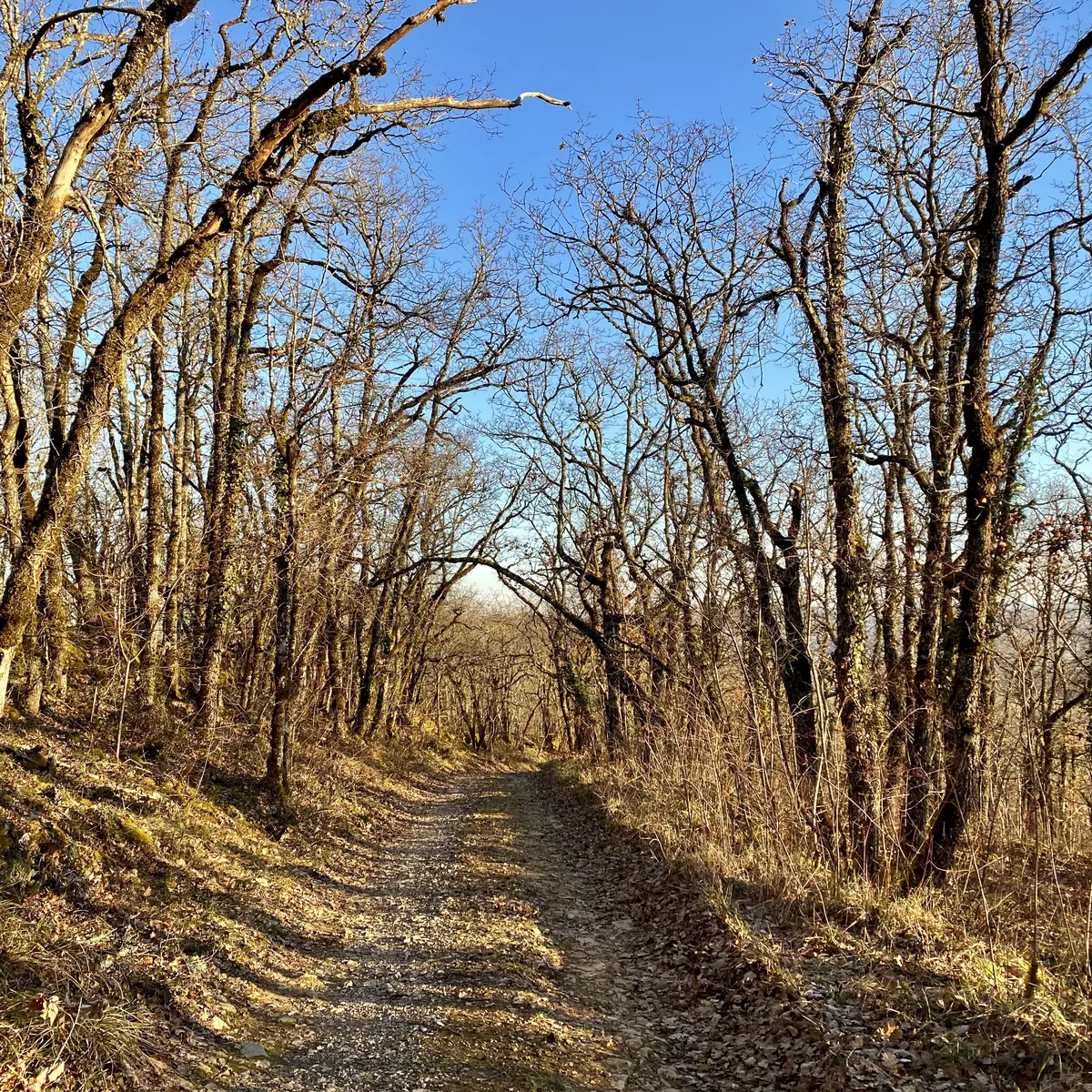 Chemin des Peyroutilles - Salviac