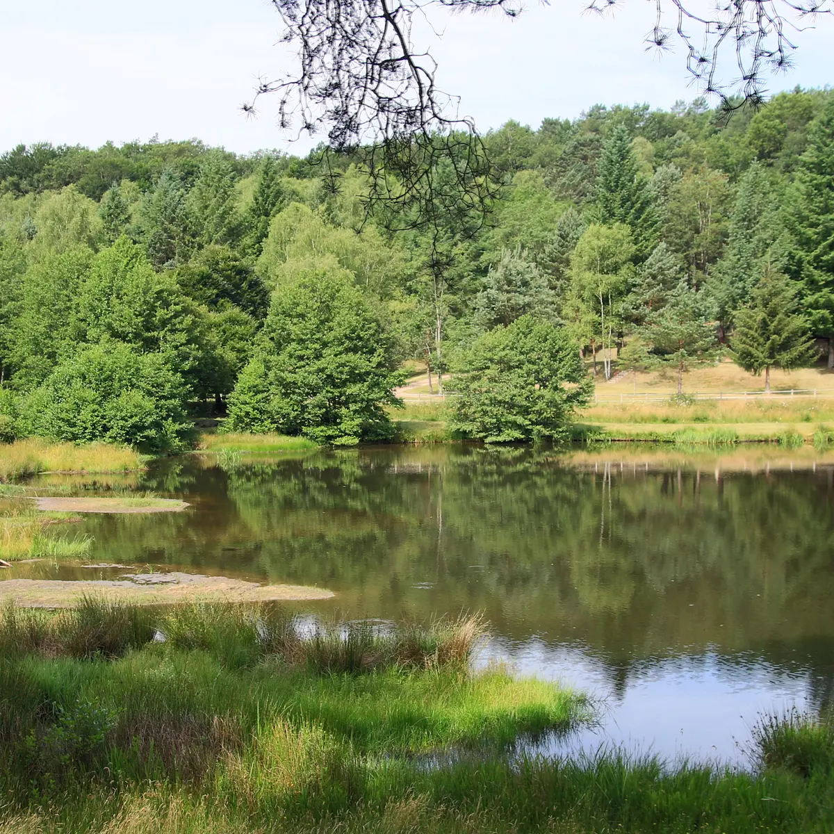 Photo texte thématique - Comiac VD12 - Lac de vergnes.Comiac.le lac©M.Légeron
