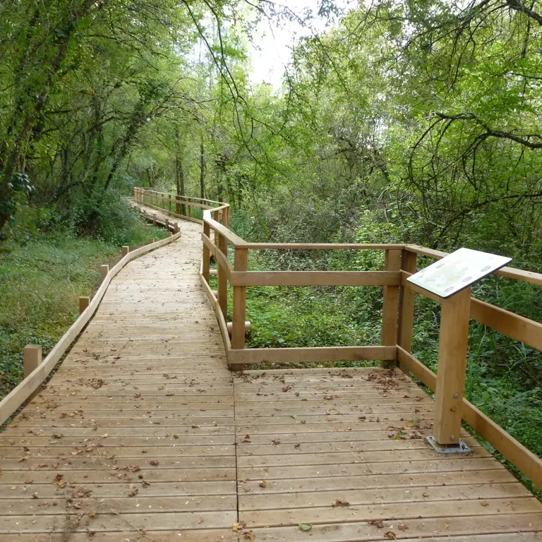 Sentier d'Interprétation au Marais de Bonnefont