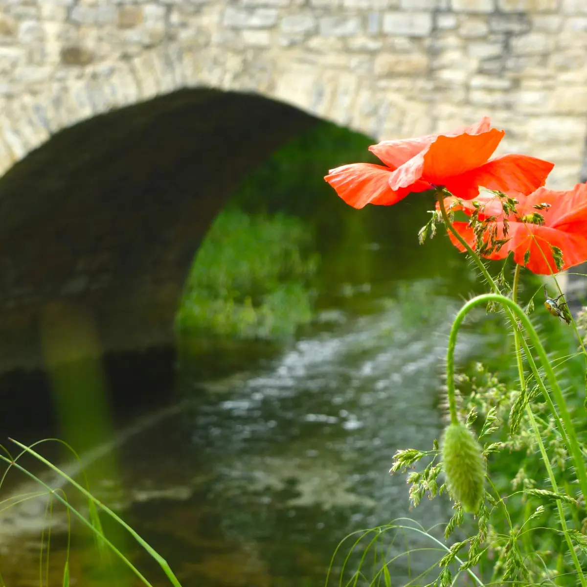 Concorès - Pont de Pierre