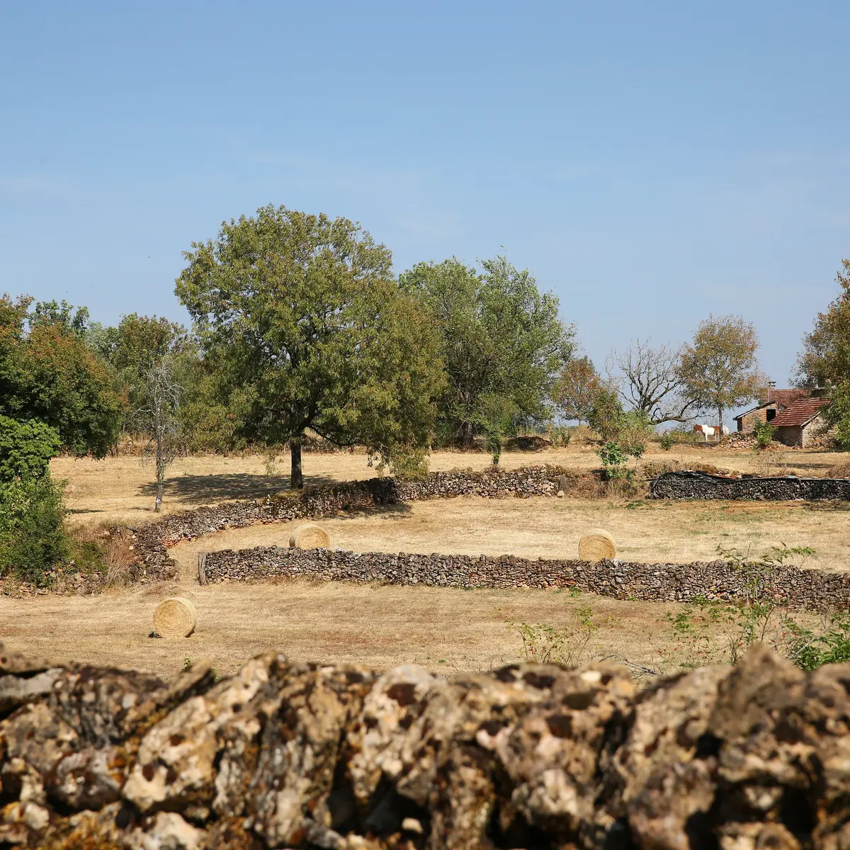 Reyrevignes