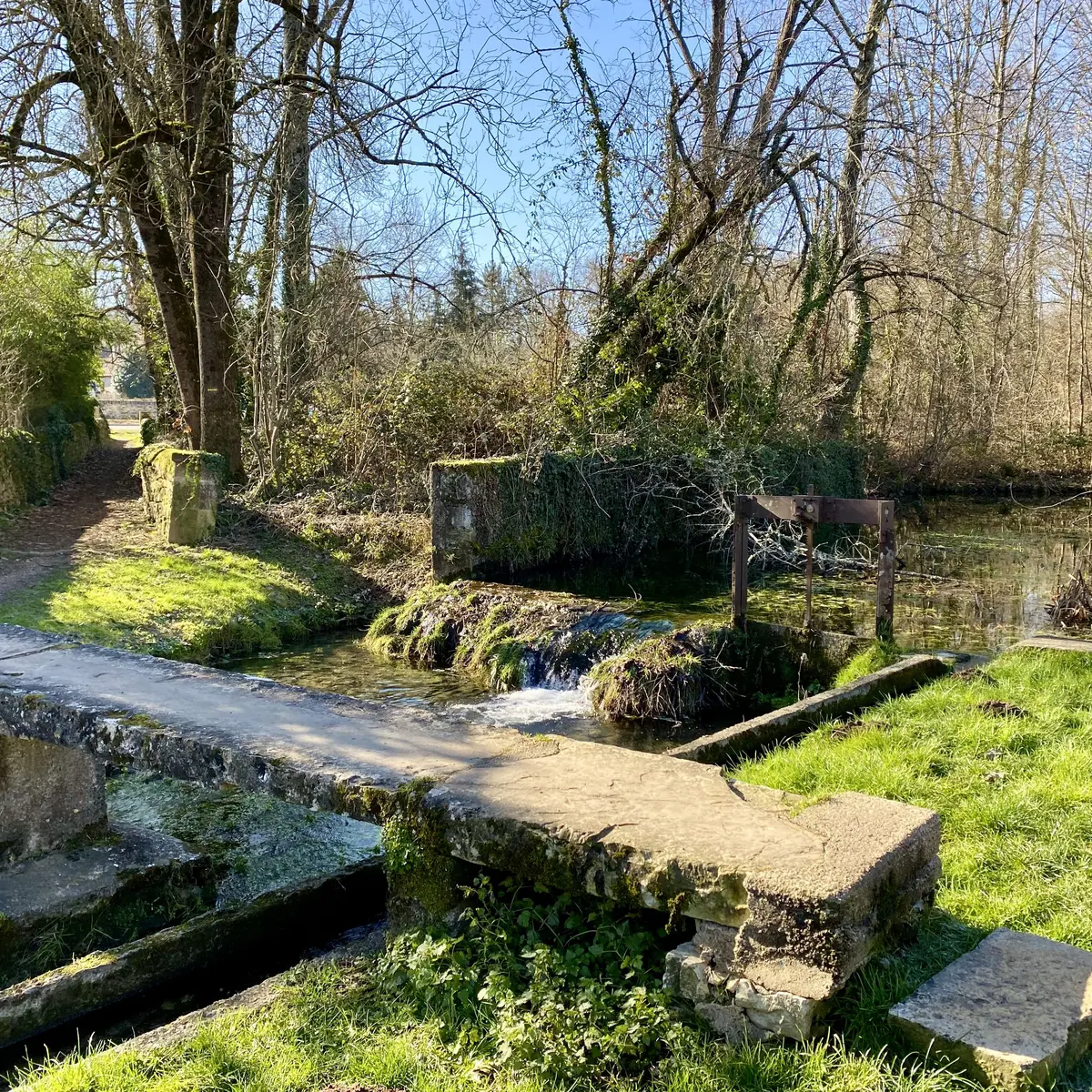 Lavoir - Salviac