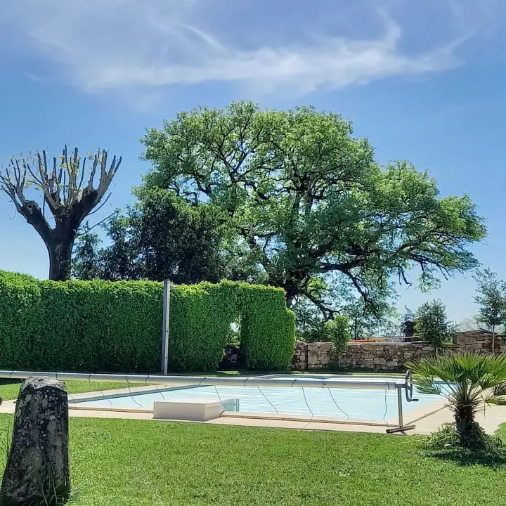 Studio Cluzel piscine