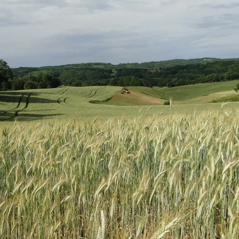 TERROU-paysage