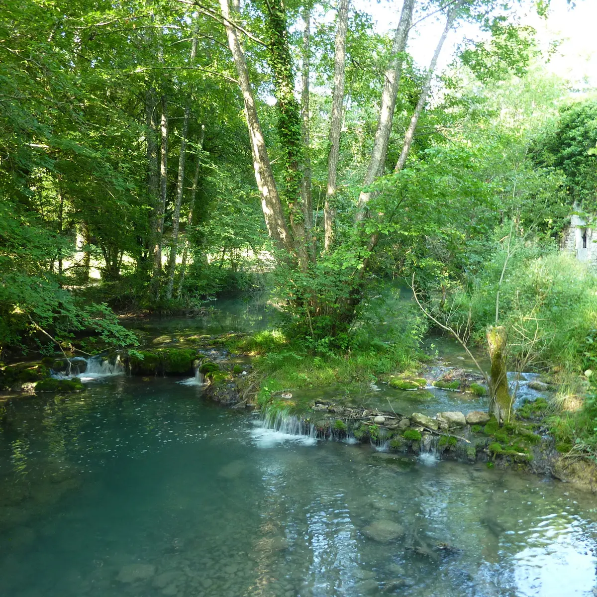 Vallée de la Rauze - Cours Lot Tourisme - M. Bouchet