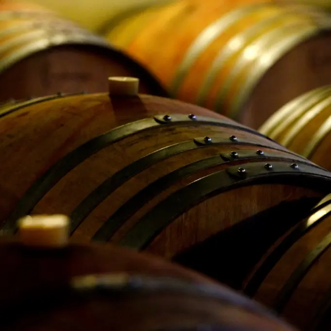 Vin de Domme - Les barriques