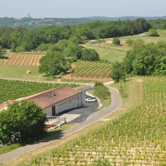 Vin de Domme 3