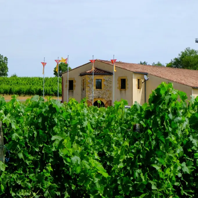 Vin de Domme