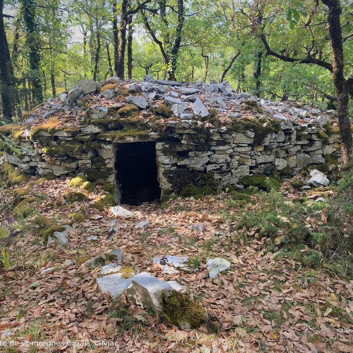 Borie Pech Curet - Salviac