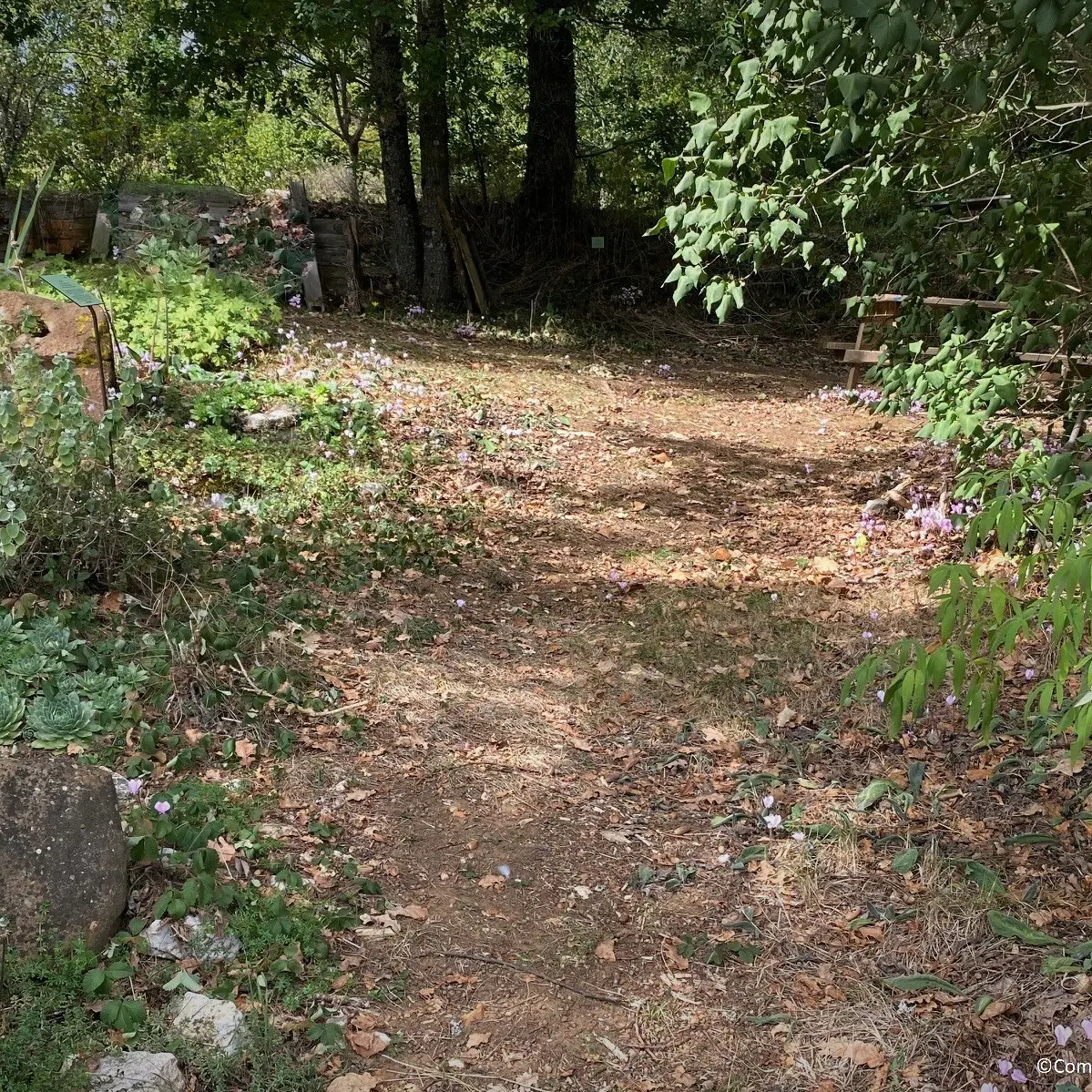 Jardin Bourian - Degagnac