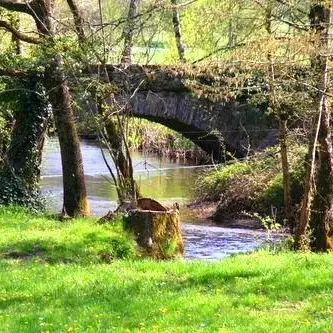école buissonnière