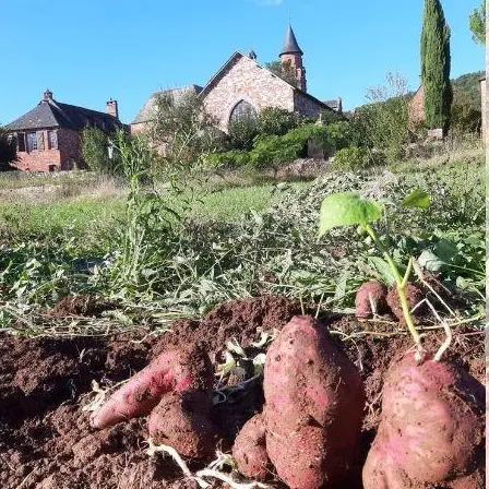la_ferme_rouge_et_vert_3