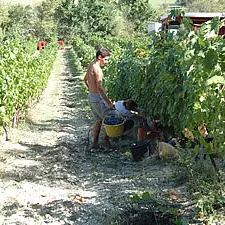 photo03