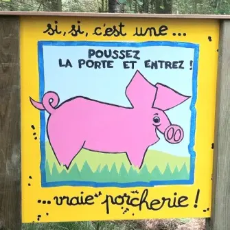 sente aux cochons