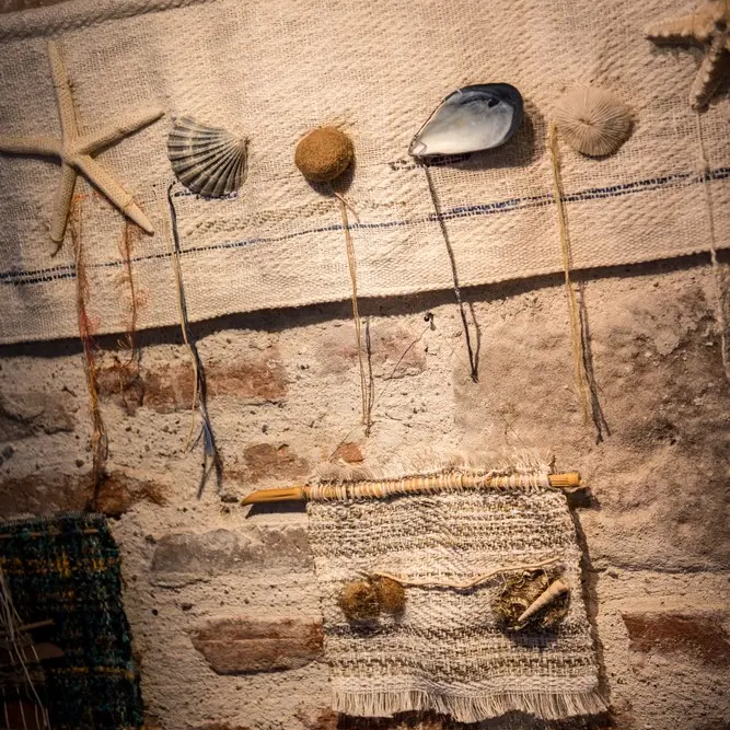 © Alain Auzanneau IMG_9354