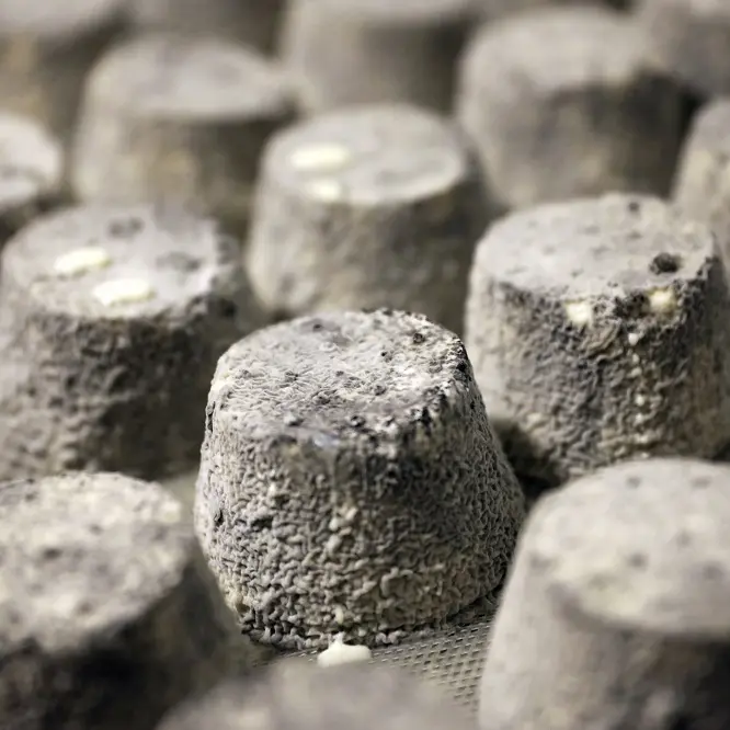 ©_Jerome_Morel_IMG_1552 Redimension