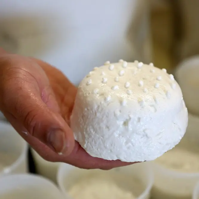 ©_Jerome_Morel_IMG_1585 Redimension