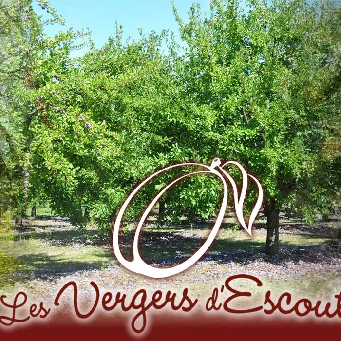 Les vergers d'escoute