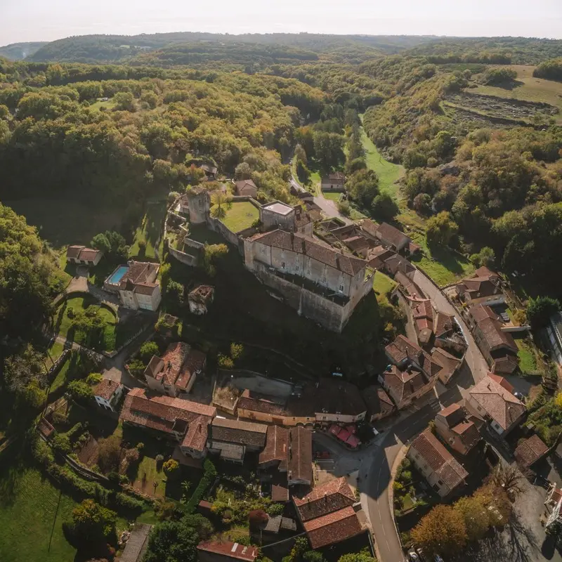 Château de Blanquefort (1)