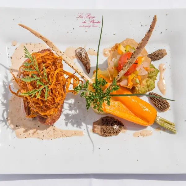 OTLT_RES_Les rives du Plantié_Le Temple sur Lot_assiette