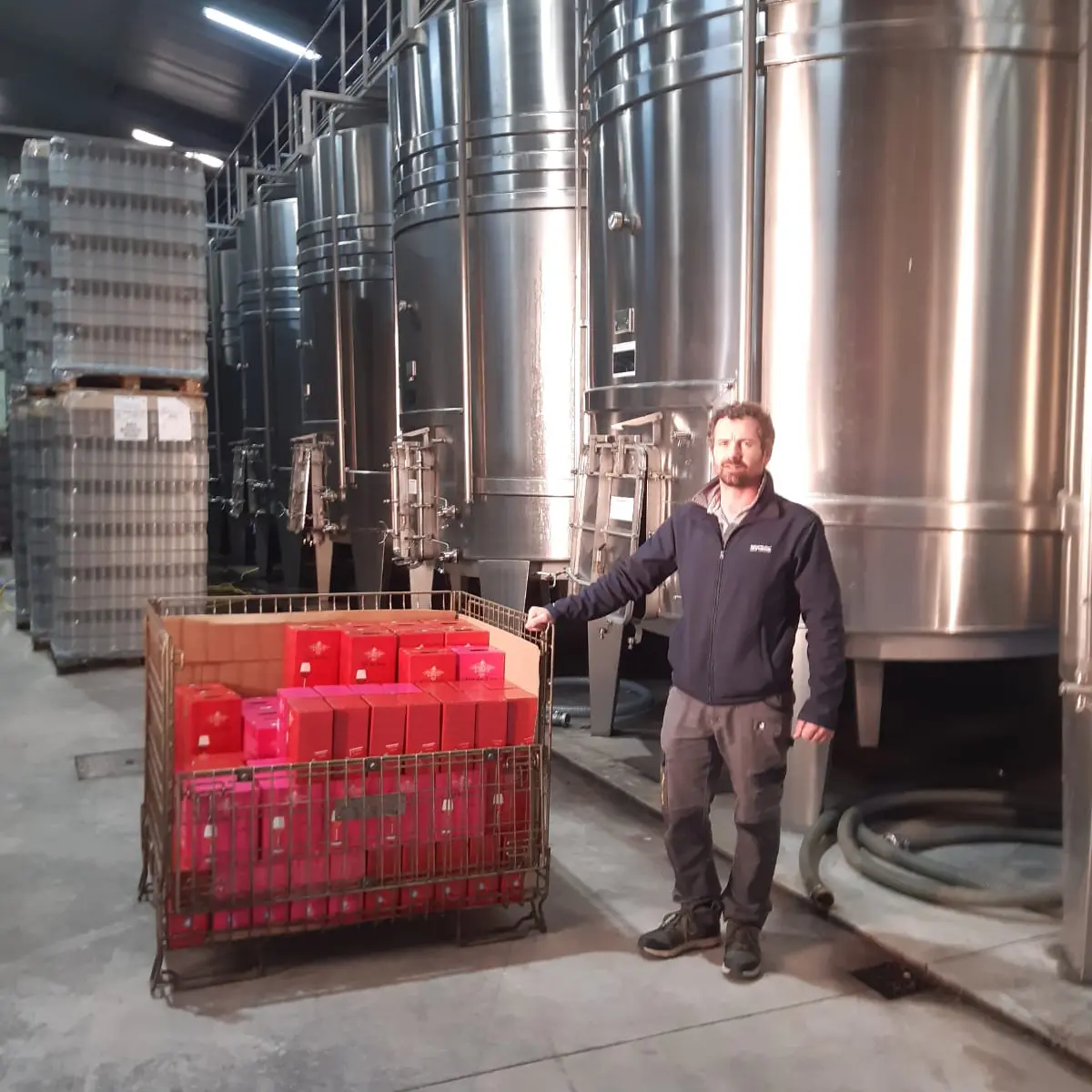 WhatsApp Image 2024-01-25 at 22.17.31