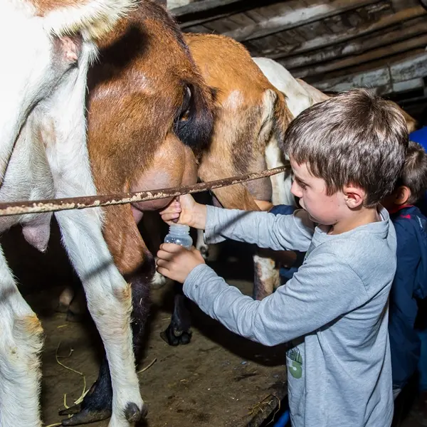 cclt_asc_chaudronmagique_traite