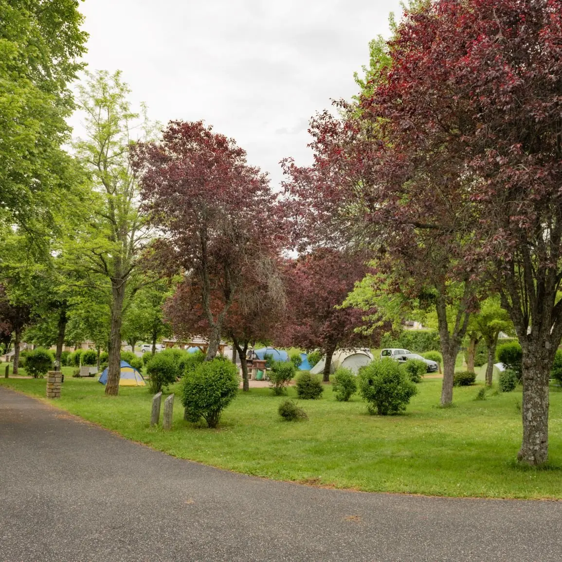 Camping municipal la Vignogue