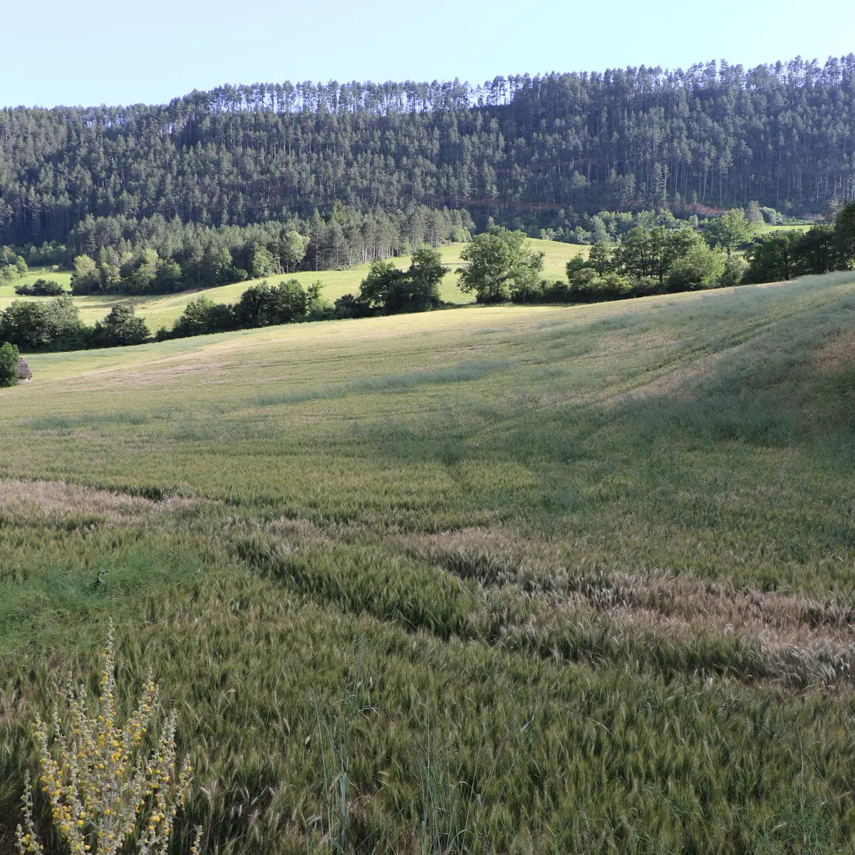 Vue depuis le sentier des saliens_4