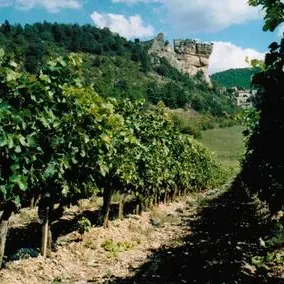 Domaine du Vieux Noyer