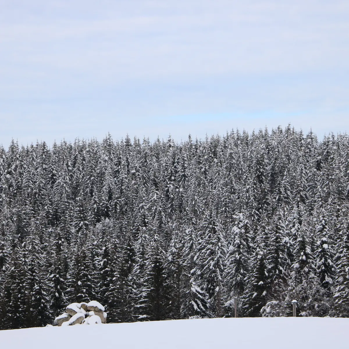 Col de Bonnecombe @S (1)