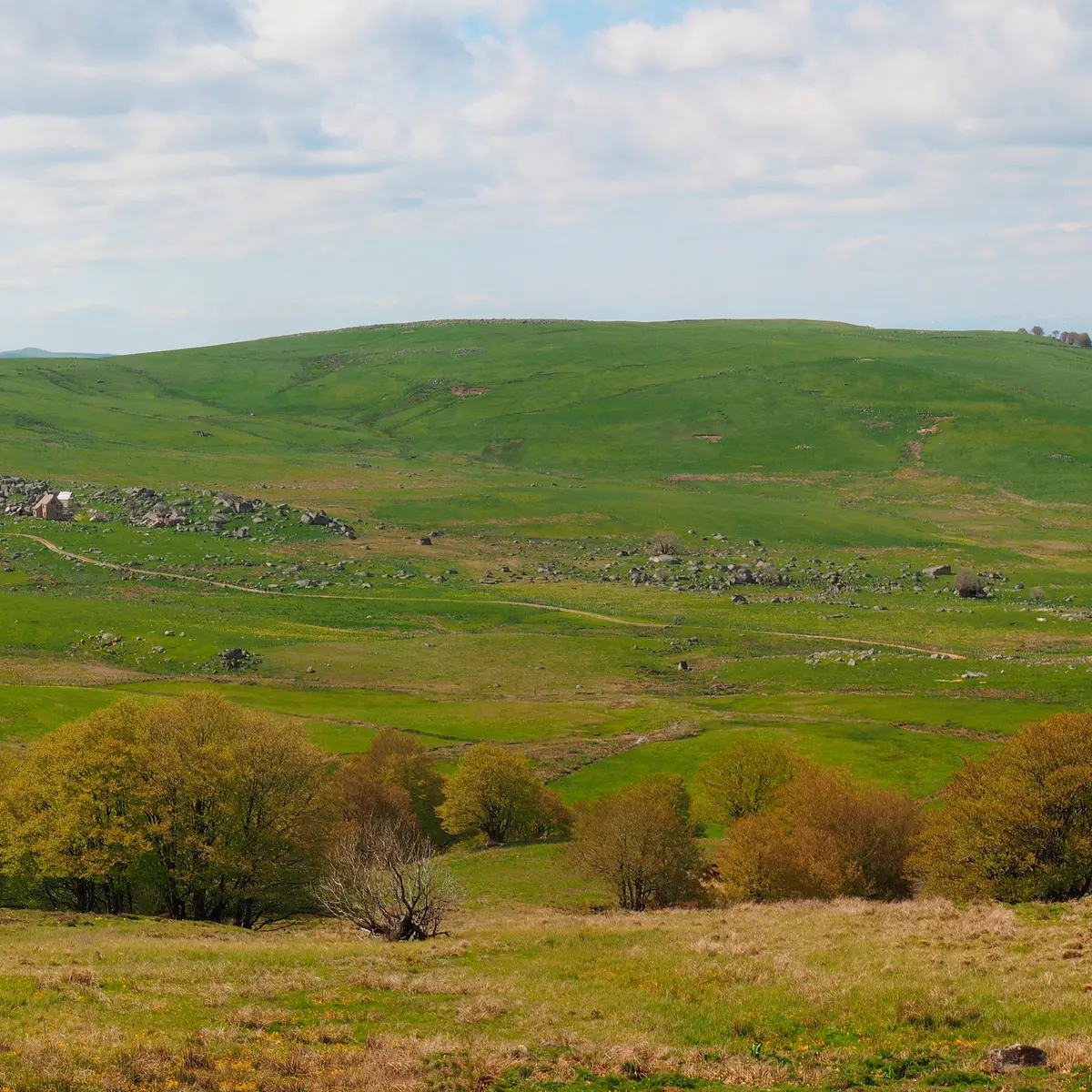 Le plateau de l'Aubrac